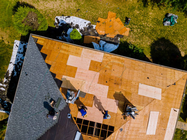 Best Flat Roof Repair Services  in Orchard Homes, MT