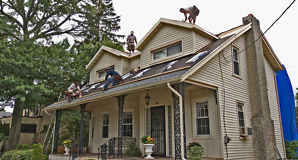 Best Metal Roofing Contractor  in Orchard Homes, MT