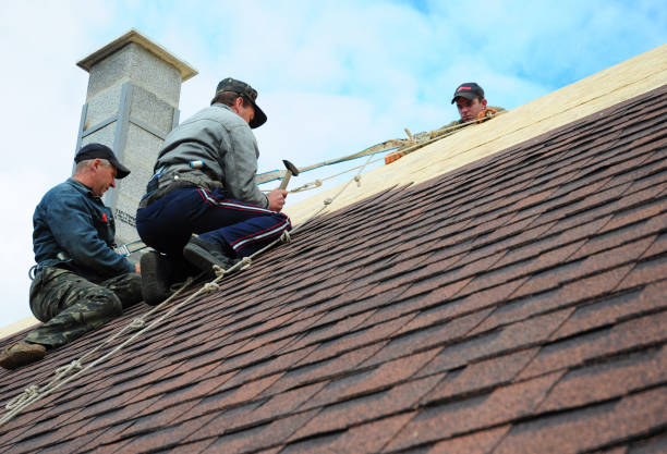 Best Gutter Installation and Roofing  in Orchard Homes, MT