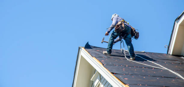 Best New Roof Installation  in Orchard Homes, MT